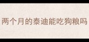 两个月的泰迪能吃狗粮吗