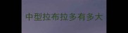 中型拉布拉多有多大