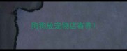 狗狗放宠物店寄养