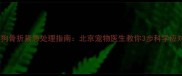 狗狗骨折紧急处理指南北京宠物医生教你3步科学应对
