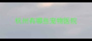 杭州有哪些宠物医院
