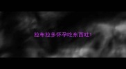 拉布拉多怀孕吃东西吐