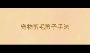 宠物剪毛剪子手法