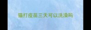 猫打疫苗三天可以洗澡吗