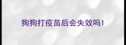 狗狗打疫苗后会失效吗
