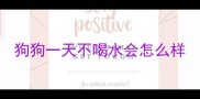 狗狗一天不喝水会怎么样