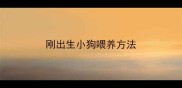 刚出生小狗喂养方法