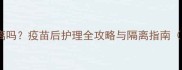 猫打疫苗后需要隔离吗疫苗后护理全攻略与隔离指南附24小时观察表