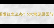 金毛犬嘴巴周围发红怎么办5大常见原因与专业护理指南