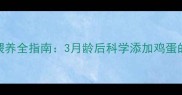 金毛幼犬鸡蛋喂养全指南3月龄后科学添加鸡蛋的6大黄金法则