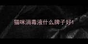 猫咪消毒液什么牌子好
