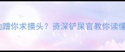 猫咪咬人后主动蹭你求摸头资深铲屎官教你读懂猫咪示好密码