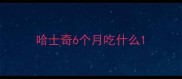 哈士奇6个月吃什么