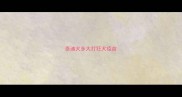 泰迪犬多大打狂犬疫苗