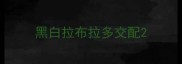 黑白拉布拉多交配
