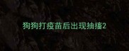 狗狗打疫苗后出现抽搐