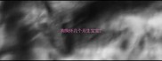 狗狗怀几个月生宝宝