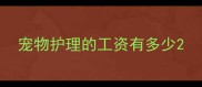 宠物护理的工资有多少