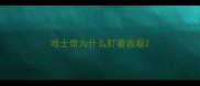 哈士奇为什么盯着我看