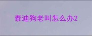 泰迪狗老叫怎么办