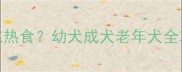 拉布拉多能不能吃热食幼犬成犬老年犬全攻略附安全食谱