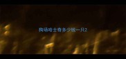 狗场哈士奇多少钱一只