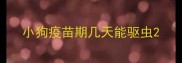 小狗疫苗期几天能驱虫