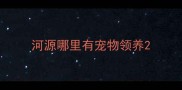 河源哪里有宠物领养