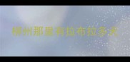 柳州那里有拉布拉多犬