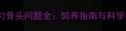 边牧后脑勺骨头问题全饲养指南与科学护理方案