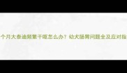 两个月大泰迪频繁干呕怎么办幼犬肠胃问题全及应对指南