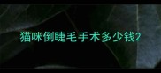 猫咪倒睫毛手术多少钱