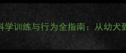 哈士奇不咬人科学训练与行为全指南从幼犬到成犬的防咬攻略