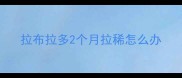 拉布拉多2个月拉稀怎么办