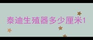 泰迪生殖器多少厘米