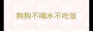 狗狗不喝水不吃饭