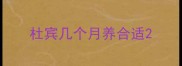 杜宾几个月养合适