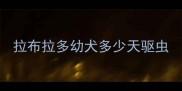 拉布拉多幼犬多少天驱虫