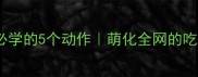 小狗吃饭前必学的5个动作萌化全网的吃饭训练指南