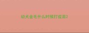 幼犬金毛什么时候打疫苗