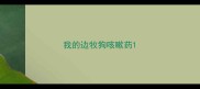 我的边牧狗咳嗽药