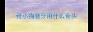 给小狗磨牙用什么骨头