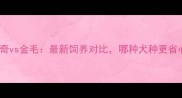 哈士奇vs金毛最新饲养对比哪种犬种更省心