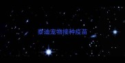 泰迪宠物接种疫苗