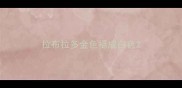 拉布拉多金色褪成白色