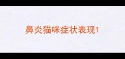鼻炎猫咪症状表现
