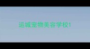 运城宠物美容学校