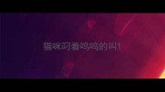 猫咪叼着呜呜的叫
