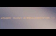 边牧VS德牧10大对比谁才是最适合家庭的守护天使