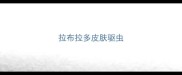 拉布拉多皮肤驱虫